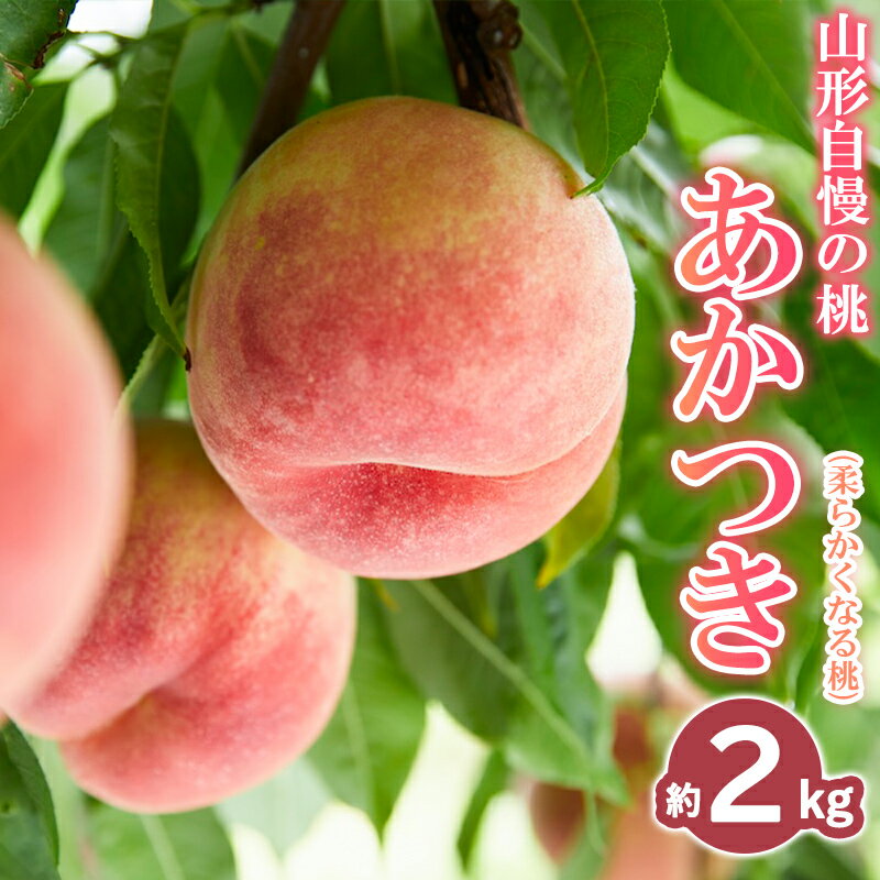 【ふるさと納税】山形自慢の桃 【あかつき】 約2kg【令和8年産先行予約】FS25-072
