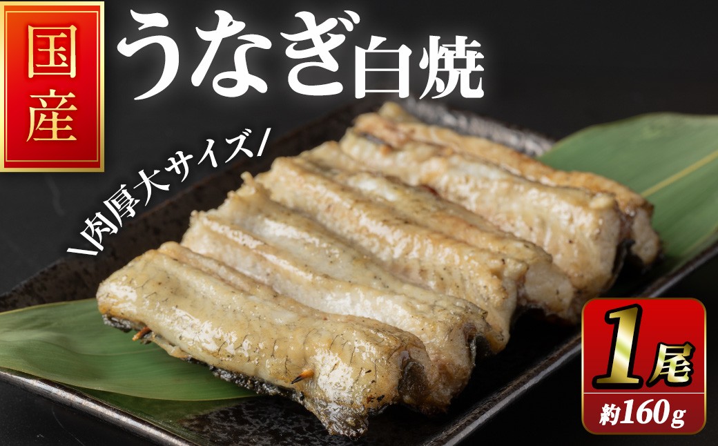 
            職人手焼き 国産うなぎ白焼 約160ｇ 肉厚 大サイズ 特大 鰻 ウナギ 白焼 【逢隈亭】sh100
          