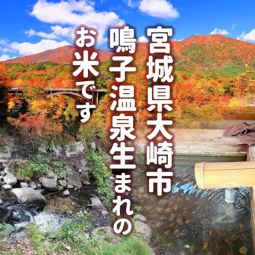 ゆきむすび 宮城県大崎市産 ゆきむすび 10kg | sg001-10kg-r7