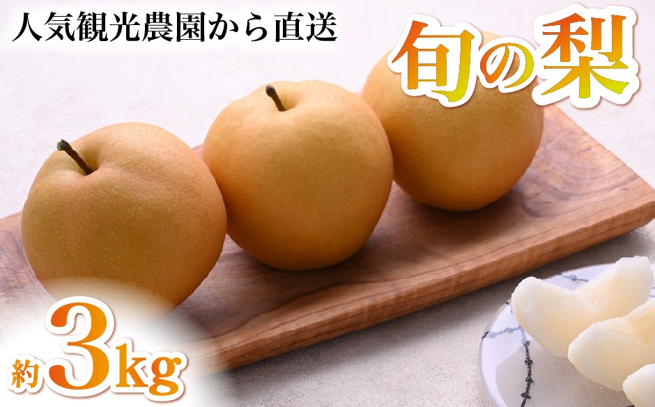
                  【2026年発送】農園直送！旬の梨 3kg（豊水・新興・新高等）(梨 なし ナシフルーツ 果物 秋の味覚 旬の果物 季節のフルーツ)みずみずしい 果汁たっぷり
                