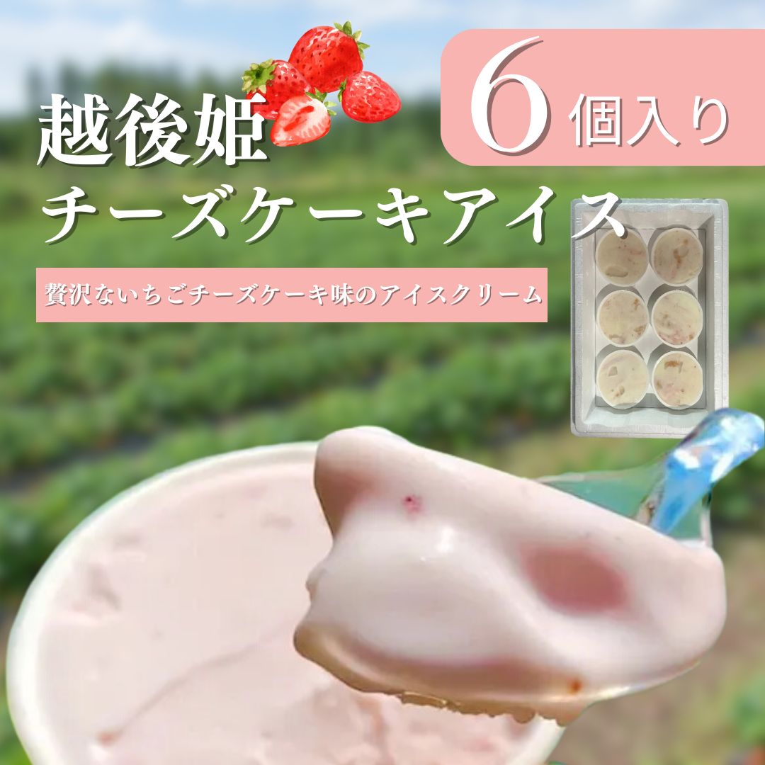 【ふるさと納税】越後姫チーズケーキアイス6個 ケーキ イチゴ 苺 アイスケーキ チーズケーキ デザート おやつ 冷凍 上越市 新潟 渡辺農園