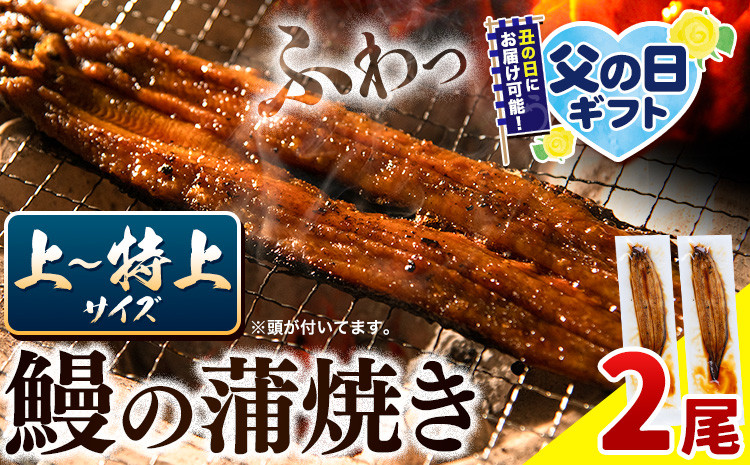 
            うなぎ 国産 鰻の蒲焼 2尾 上～特上サイズ《選べる出荷時期)》| うなぎ 蒲焼 国産 うなぎ 小分け うなぎ 国産 うなぎ 父の日 うなぎ 母の日ギフト うなぎ 簡易包装 送料無料 徳島県 上板町
          
