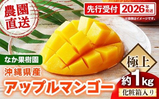 
                  【化粧箱入り】【先行受付・2026年発送】なか果樹園 アップルマンゴー 極上 約1kg - 産地直送 先行予約 沖縄県産 贈り物 ギフト プレゼント 南国フルーツ 旬の味覚 オススメ 沖縄県 八重瀬町
                