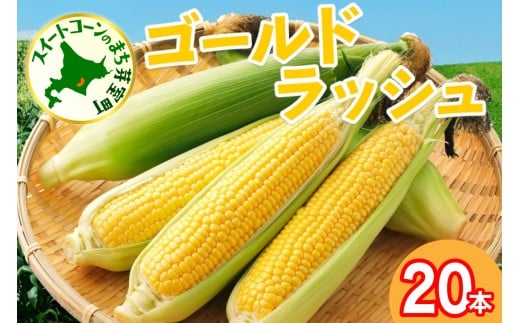 【先行受付】【2026年7月下旬～8月上旬頃配送】北海道十勝 芽室町産 朝獲れ とうもろこし ゴールドラッシュ20本　me035-027c-26