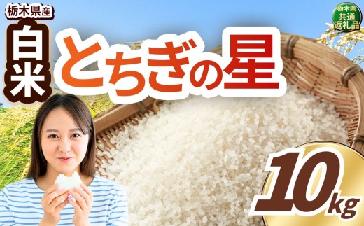 いちご農家さん応援米！ 令和7年度産 白米 約10kg とちぎの星 | 真岡市産 米 お米 こめ 白米 ご飯 ごはん 大粒 とちぎのほし 限定 ふるさと納税  栃木県 真岡市 送料無料