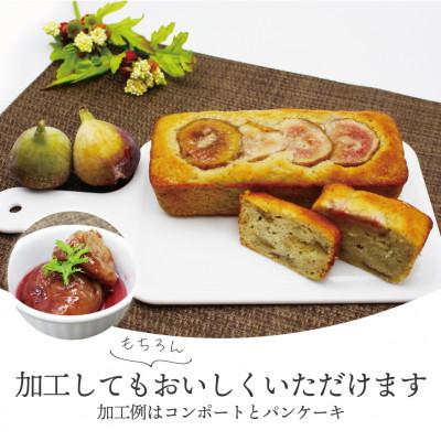 ふるさと納税 太宰府市 【2025年8月下旬〜10月下旬発送予定】福岡県ブランドいちじく「博多とよみつひめ」4パック |  | 03