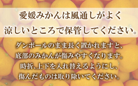 【愛媛みかん】 5kg みかん