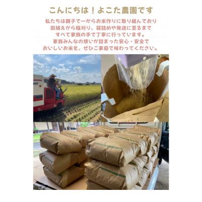 ふるさと納税 つくば市 【令和7年産】茨城県産コシヒカリ　玄米10kg |  | 01