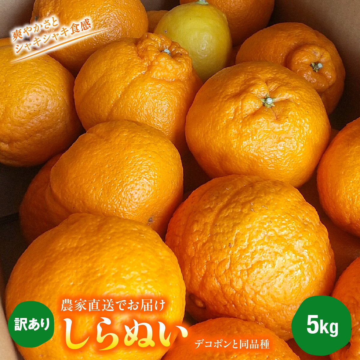 【ふるさと納税】【先行受付】愛媛県八幡浜市産◆しらぬい◆（デコポンと同品種）農家直送でお届け≪訳あり≫5kg【103-2】 果物 くだもの 不知火 しらぬい デコ みかん ミカン 蜜柑 柑橘 フルーツ 期間限定 季節限定 特産品　訳有 訳アリ YWTBZ005