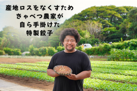 キャベツをたっぷり使った！アフロきゃべつ餃子 120個（30個入り × 4袋） キャベツ 餃子 ぎょうざ タレいらず 味付き 春キャベツ 生産量 日本一 銚子