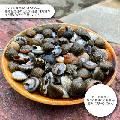 ふるさと納税 旭市 九十九里産!釜茹で「ながらみ」1kg |  | 03