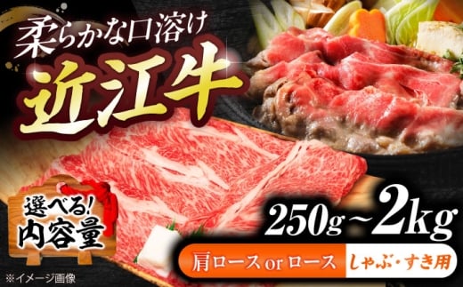 近江牛ロース・肩ロース（すきしゃぶ）500g  栗東市 / 有限会社 岡山 [BIBE090]