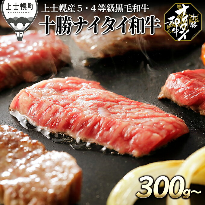 【ふるさと納税】十勝ナイタイ和牛 焼肉用 300g～ 3タイプから選べる 北海道産 牛肉 5・4等級黒毛和牛 オレイン酸含有率55%以上 モモ バラ 肩ロース レビューキャンペーン対象品 ※オンライン申請対応