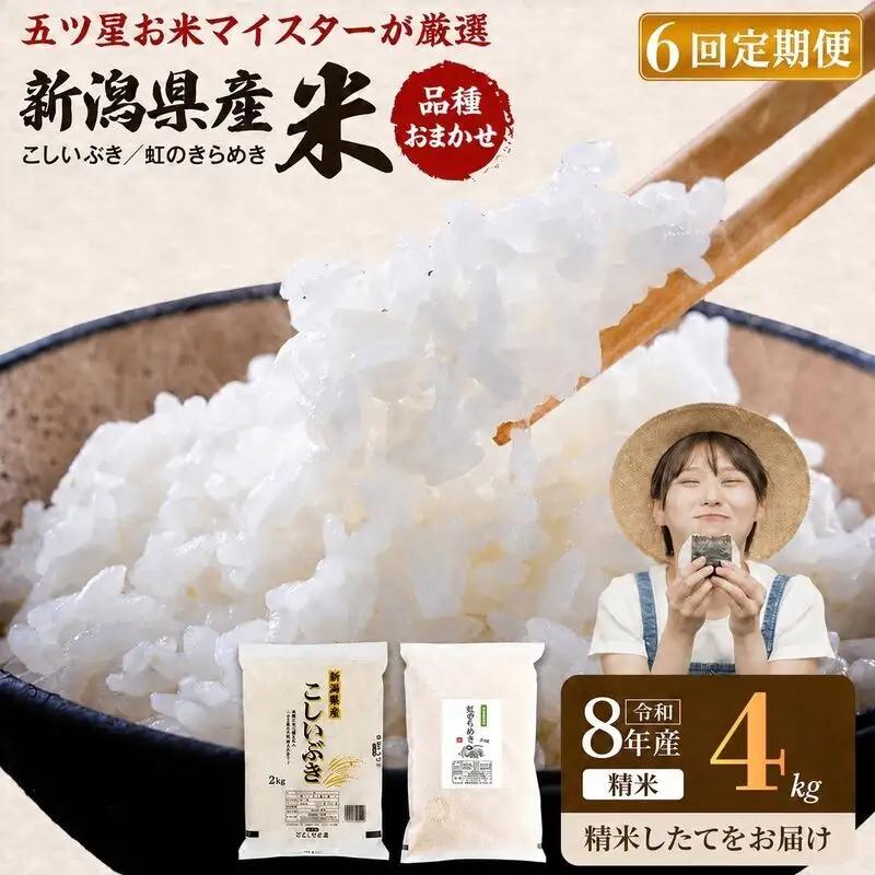 R8年産 新潟県産 品種おまかせ  4kg 6か月定期便 新潟県 新潟市産 令和8年産 お米 精米 米 ご飯 送料無料