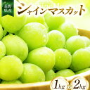 【ふるさと納税】【2025年先行予約】 ちのふぁーむ シャインマスカット 1kg・2kg | 果物 ぶどう 葡萄 シャインマスカット フルーツ 果物 デザート 食後 おやつ 果汁 皮ごと ジューシー 日本産 国産 産地直送 長野県松川村 信州