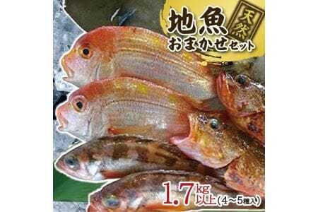 地魚おまかせセット 4～5種類入り 計1.7kg以上 冷蔵便 ※着日指定・離島（沖縄県を含む）への発送不可 東北 山形県 遊佐町 庄内地方 鮮魚 詰合せ 産地直送 新鮮 [1620]