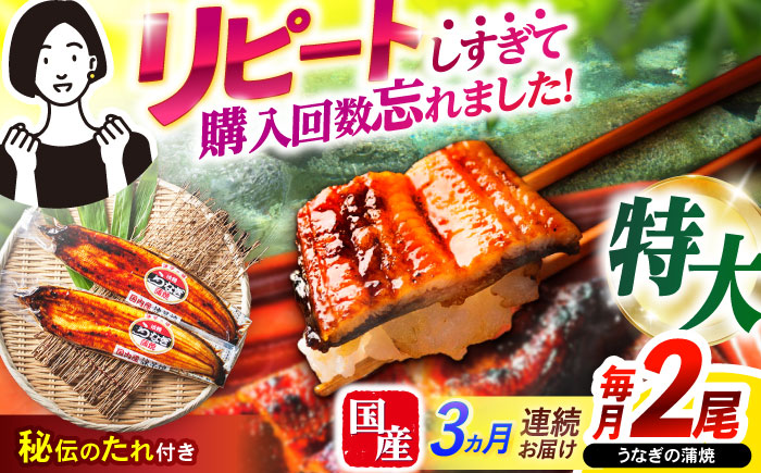 【3回定期便】【諫早淡水】特大うなぎ蒲焼2尾 / 特大 うなぎ ウナギ 鰻 国産うなぎ 国産鰻 蒲焼き 蒲焼 かばやき うな重 うな丼 / 諫早市 / 諫早淡水株式会社 [AHAT054]