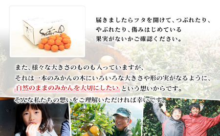 ＜無茶々園 温州みかん 約7kg＞ 【先行予約】果物 くだもの ミカン 蜜柑 柑橘 フルーツ うんしゅうみかん 選べる内容量 贈り物 ギフト おいしい 期間限定 季節限定 食べて応援 特産品 愛媛県 