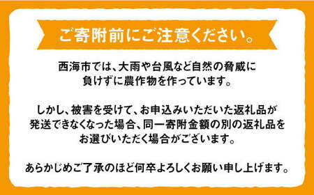 先行予約 訳あり 西海1号 温州 みかん 10kg 優品 Mサイズ みかん みかん みかん みかん みかん みかん CCF001