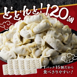 富士山北麓 餃子 120個 ぎょうざ 冷凍 餃子 ギョーザ