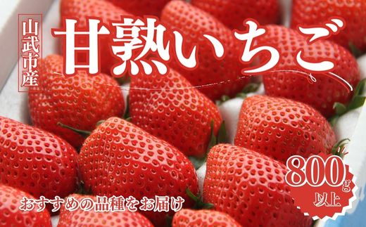 【先行予約12月中旬発送】山武市産 甘熟いちご 800g以上 おすすめの品種をお届け ／ふるさと納税 いちご イチゴ 苺 果物 くだもの フルーツ 旬のくだもの 季節のフルーツ 千葉県 山武市 SMB
