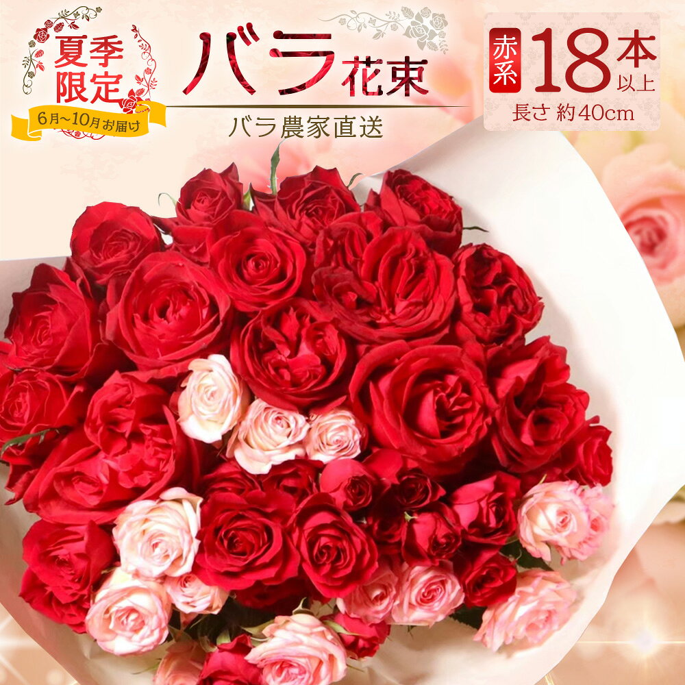 【ふるさと納税】【 もうすぐ受付終了・9/30まで】【日付指定必須・ギフト対応可】 夏季限定 ばら農家直送！バラ花束18本以上お届け(赤系) TB-1｜鹿児島県 南大隅町