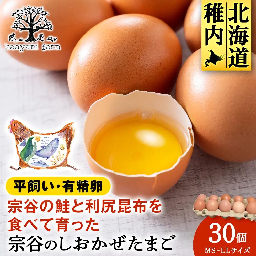 宗谷のしおかぜたまご30個入(10個入×3ケース)
