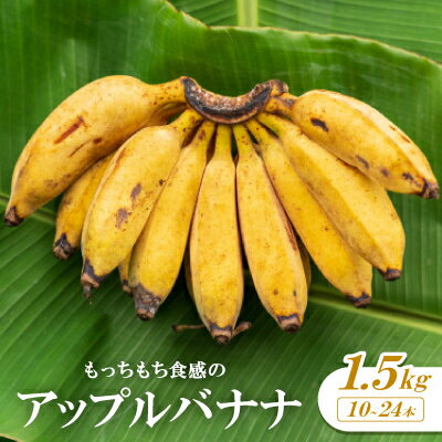 【ふるさと納税】【栽培期間中農薬不使用】やんばるバナナ1.5kg(10～24本)【1578861】