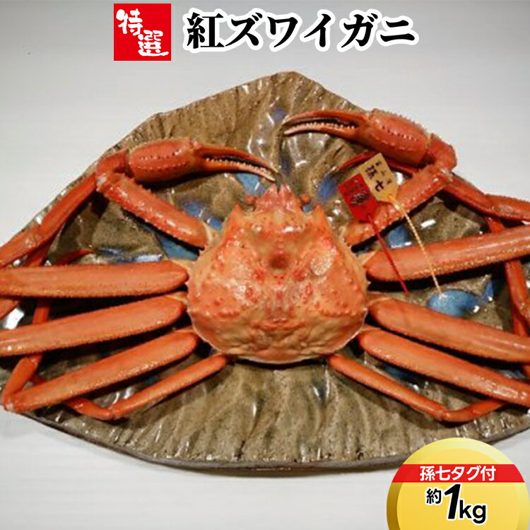 【ふるさと納税】【特選】紅ズワイガニ約1kg（孫七タグ付）　ずわい蟹 ずわいガニ ズワイガニ 紅ズワイガニ 約1kg ※2026年9月～発送