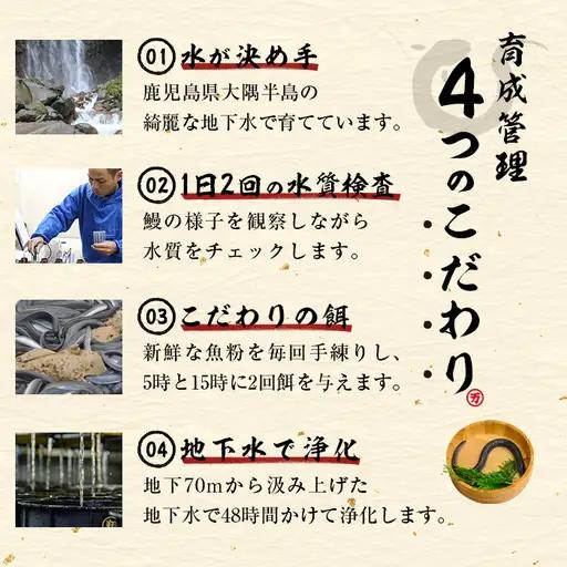 【ふるなびWEEK対象】国産 うなぎ 蒲焼 4尾 霧島湧水鰻の蒲焼き 140g以上×4尾＜計560g以上＞ うなぎ 鰻 ウナギ 国産 九州産 蒲焼き 【志布志市人気No.1お礼の品】 a5-385