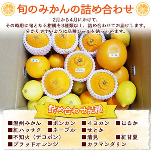産地直送!！　愛媛県明浜町産　旬の柑橘　宝石箱（宇都宮農園）