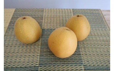 【期間限定】令和8年産 倉吉の梨 3種ミックス（王秋・晩三吉・あたご）計5kg 王秋 晩三吉 あたご梨 倉吉産 梨 ブランド梨 果物 フルーツ 先行予約 和梨 数量限定