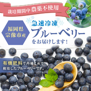 有機栽培・栽培期間中農薬不使用！急速冷凍ブルーベリー 1.2kg 【JAほたるの里】_HA1517