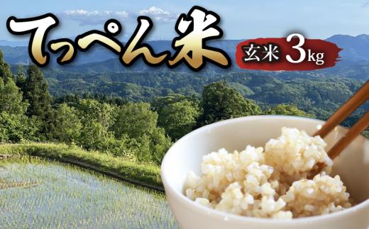 【令和8年産】 コシヒカリ 玄米 3kg 新米 先行予約 神子原 てっぺん米 こだわり もっちり 甘み genmai gennmai げんまい ※ ご飯 ごはん おいしい 美味しい 令和8年度米 令和8年 2026年度 こしひかり 新米 予約 ブランド米 銘柄米 石川県 石川 能登 羽咋 支援 応援 復興応援 復興支援 お米 米 おこめ こめ kome okome ふるさと納税米 ふるさと納税玄米