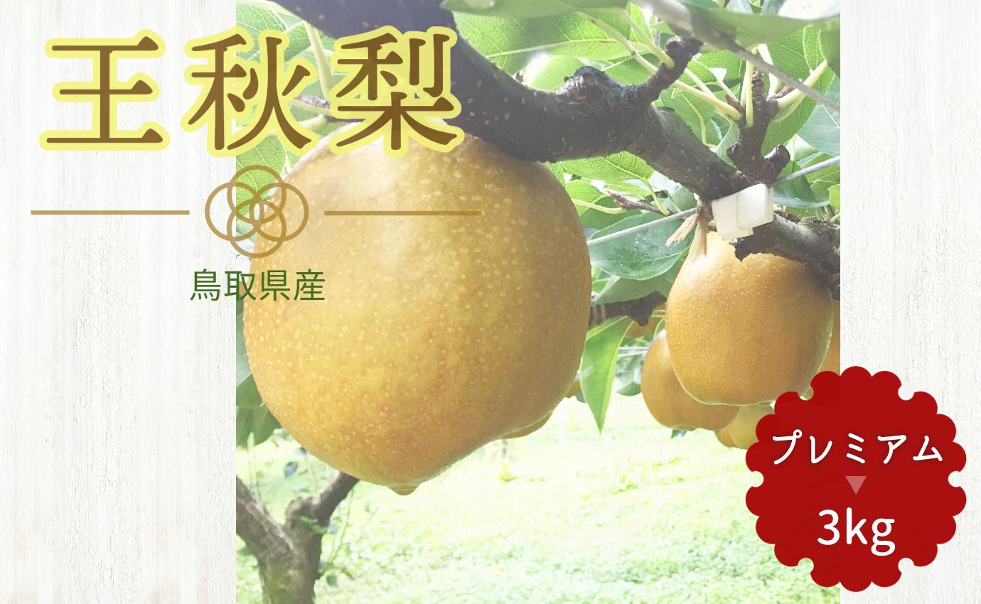 
219-W19．【先行予約】プレミアム王秋梨　３ｋｇ
