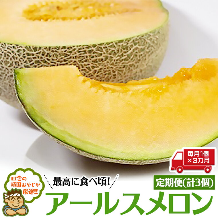【ふるさと納税】 【定期便】 アールスメロン 毎月1個 × 3か月 （計3個）