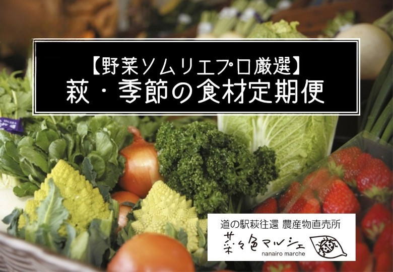 
            【選べる！】野菜ソムリエプロselect／萩・季節の食材定期便　｜HG0T0032
          