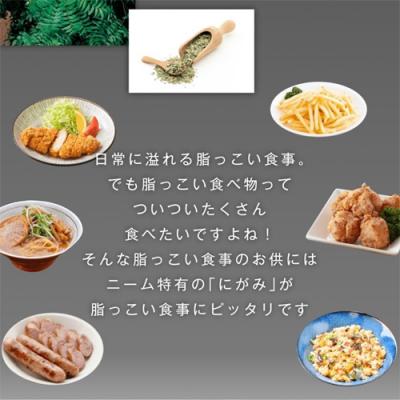 ふるさと納税 関市 ニーム健康茶 48本(500ml24本入×2ケース) 〜健康 お茶 ハーブティー〜 |  | 02