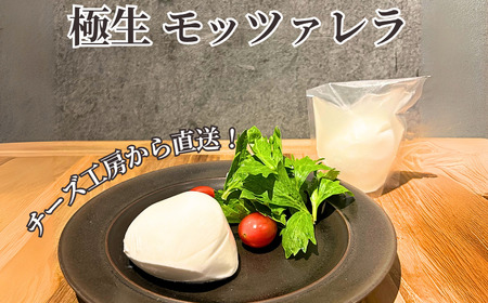 モッツァレラ チーズ 3種＋ チギチー チーズ 4種セット  | 【 チーズ 】