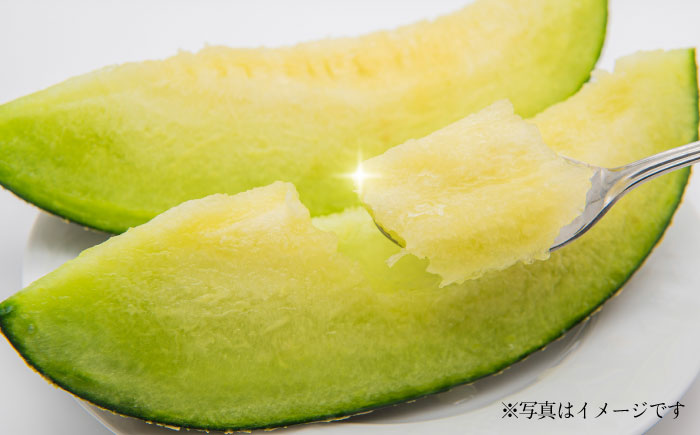 【先行予約】【数量限定】肥後グリーンメロン　約2kg(1玉入)【日本フルーツ株式会社】 [ZFJ005]