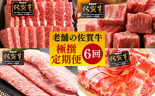 【定期便6回】奇数月配送 老舗の佐賀牛 特極撰定期便 | ハンバーグ サイコロステーキ 切り落とし ロースカルビ 焼肉 ロースステーキ しゃぶしゃぶ すき焼き用 奇数月６回 _f-30