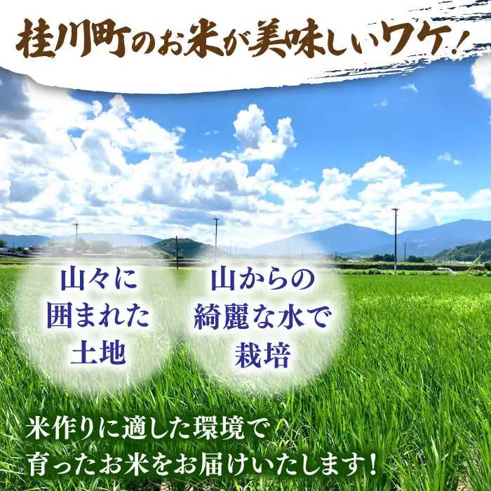  夢つくし 10kg 福岡県産 白米 [ADBB004] 米