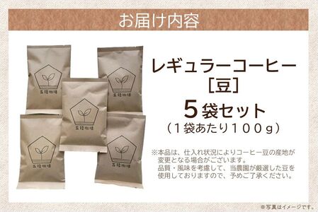 五稜珈琲100g×5ヶ国セット【1186203】