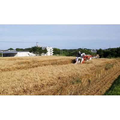 ふるさと納税 武豊町 細うどんセット |  | 02