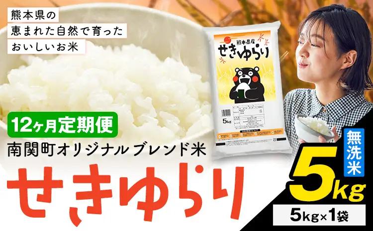 無洗米 せきゆらり 5kg 12ヶ月 定期便 熊本県産 国産 無洗