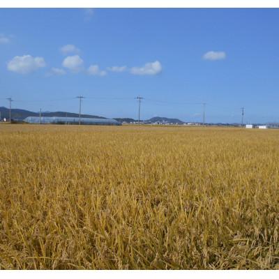 ふるさと納税 中間市 農家の直送米　ふくおかエコ農産物【農家のお米】6kg |  | 02