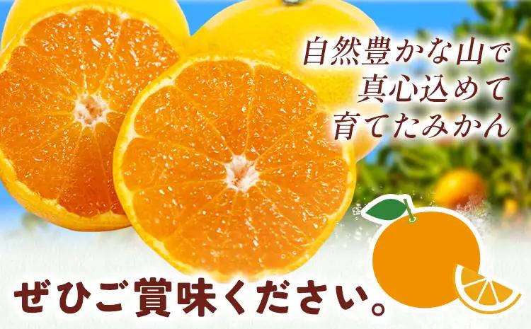 みかん ゆら早生みかん 約5kg