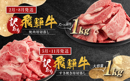 【訳あり】飛騨牛づくし定期便【2月・5月・8月・11月発送】 | 定期便 BV106