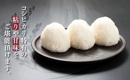 令和8年度産  上総の純粋米   「コシヒカリ」  10kg　(5kg×2)　【厳選】千葉県産 KCV001 