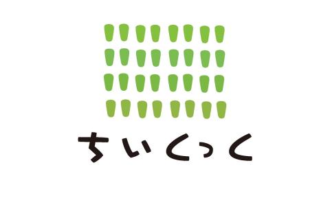 ちいくっく?〈あるく機能が目覚めるくつ〉(プレーン) (サイズ：12.5cm、カラー：ネイビー×ホワイト) ネイビー×ホワイト 12.5cm